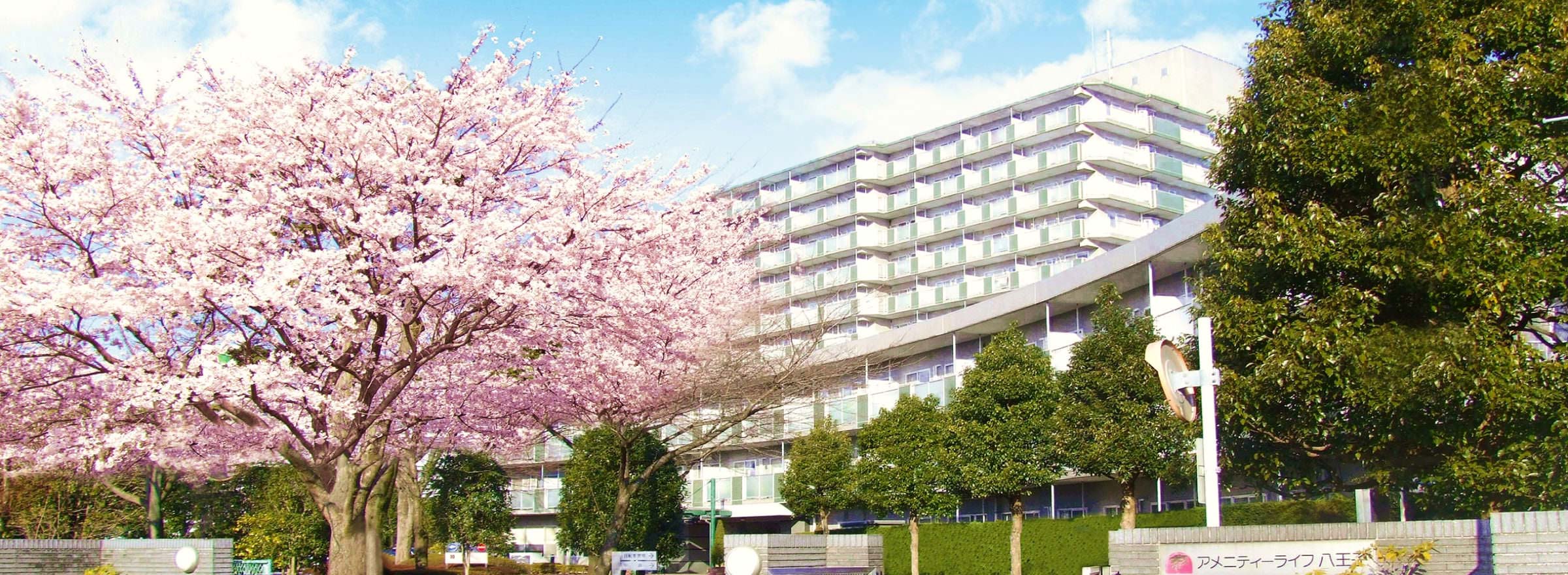 介護付き有料老人ホーム｜アメニティーライフ八王子｜会社概要