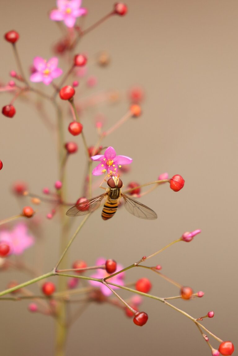 近隣の公園にて